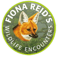 Fiona Reid's Wildlife Encounters