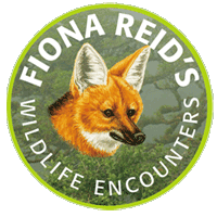 Fiona Reid's Wildlife Encounters