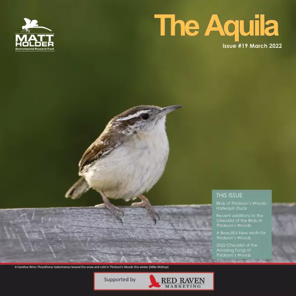 Aquila Newsletter March 2022