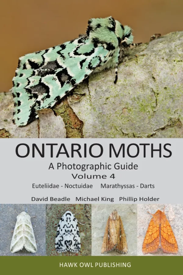 Ontario Moths Volume 4 Cover