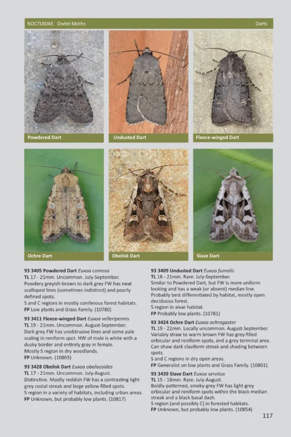 Ontario Moths Volume 4 page 117