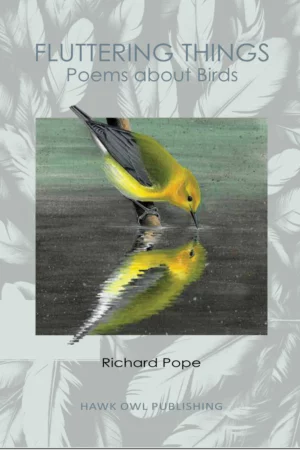 Fluttering Things - Poems About Birds Book Cover